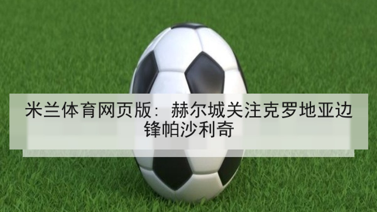 米兰体育网页版: 赫尔城关注克罗地亚边锋帕沙利奇