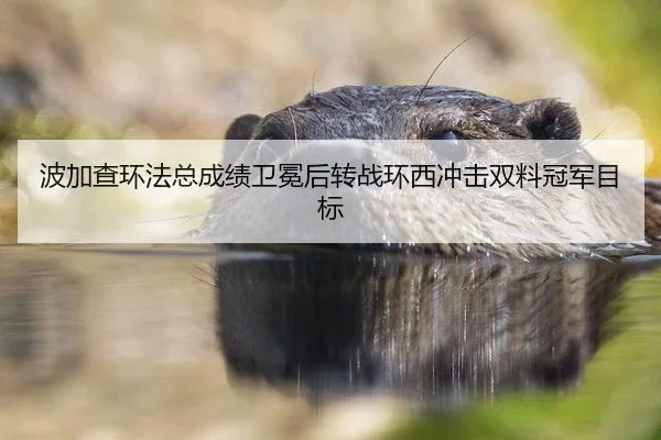 波加查环法总成绩卫冕后转战环西冲击双料冠军目标