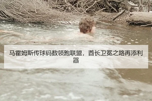 马霍姆斯传球码数领跑联盟，酋长卫冕之路再添利器